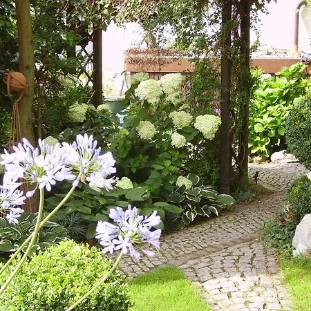 Ferienhaus-Weitblick Wohlau Exterior foto