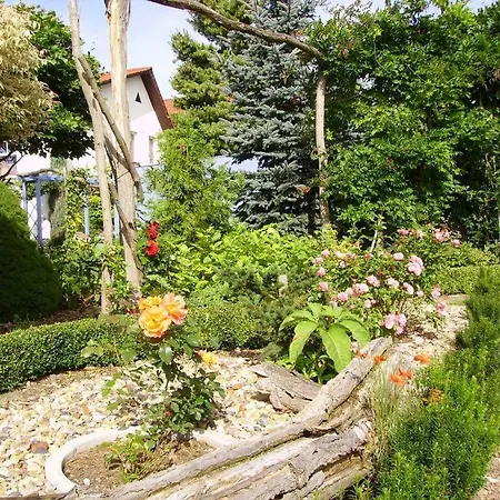 Ferienhaus-Weitblick Wohlau Exterior foto