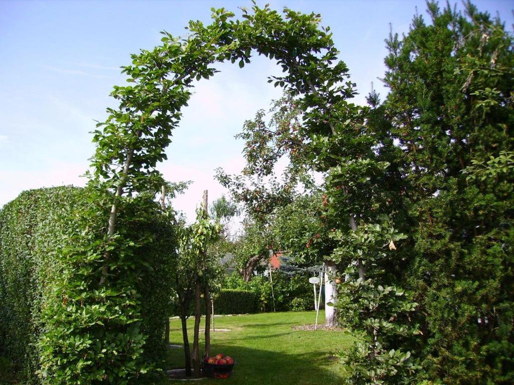 Ferienhaus-weitblick