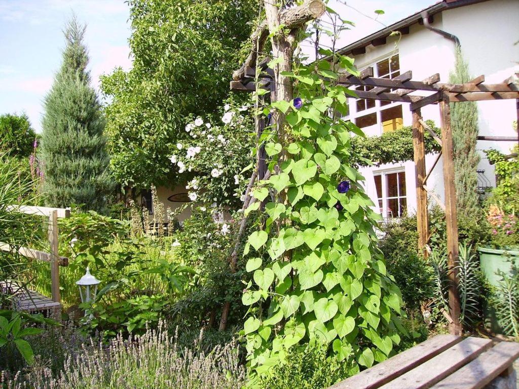 Appartement Ferienhaus-weitblick Wohlau